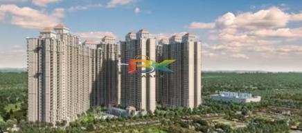 BZX Property