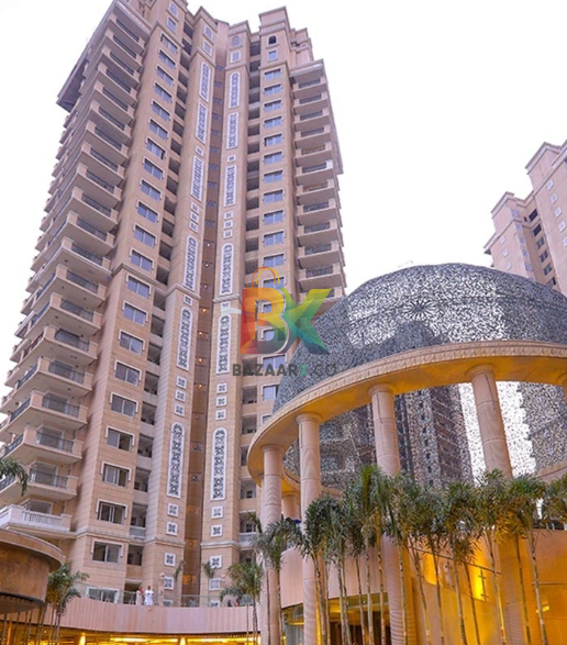 BZX Property