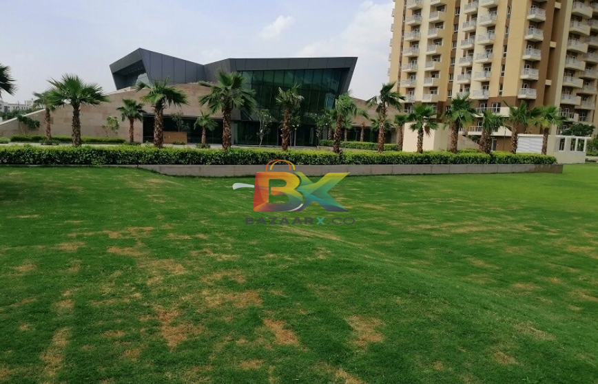 BZX Property