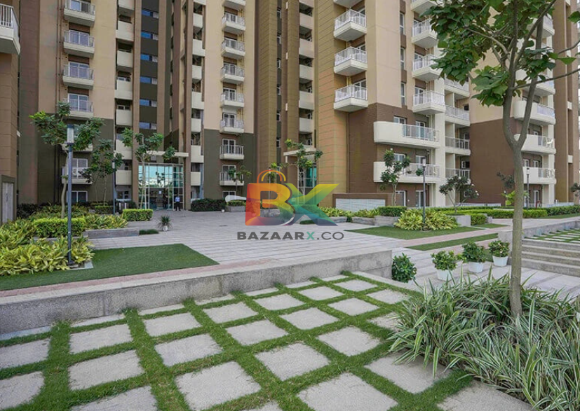BZX Property