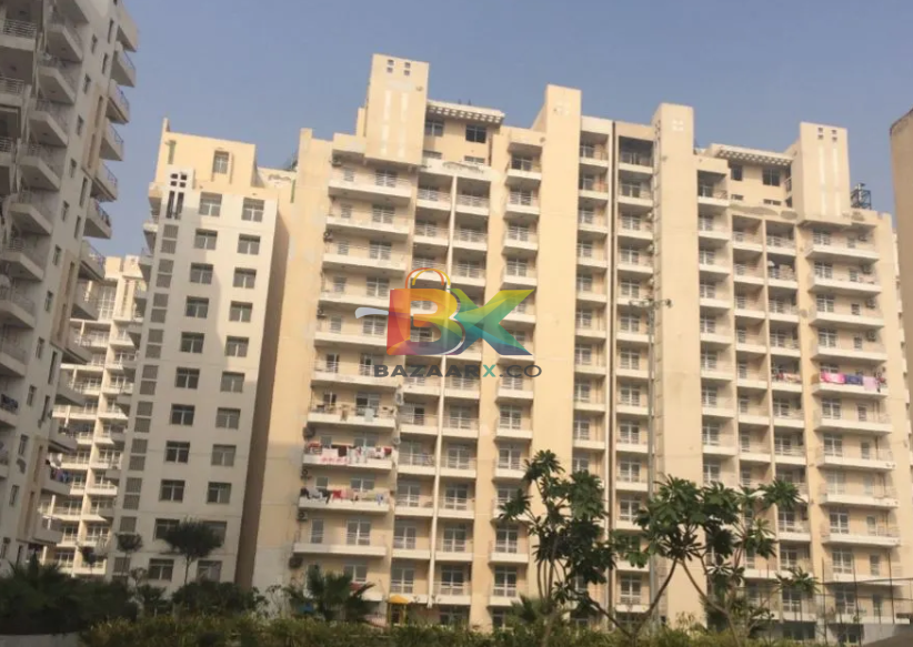 BZX Property