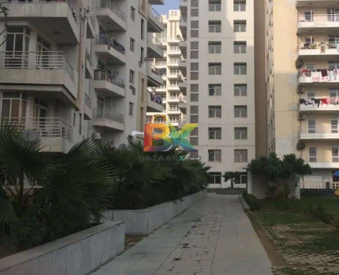 BZX Property