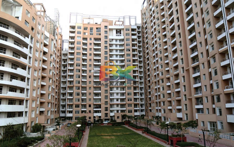 BZX Property