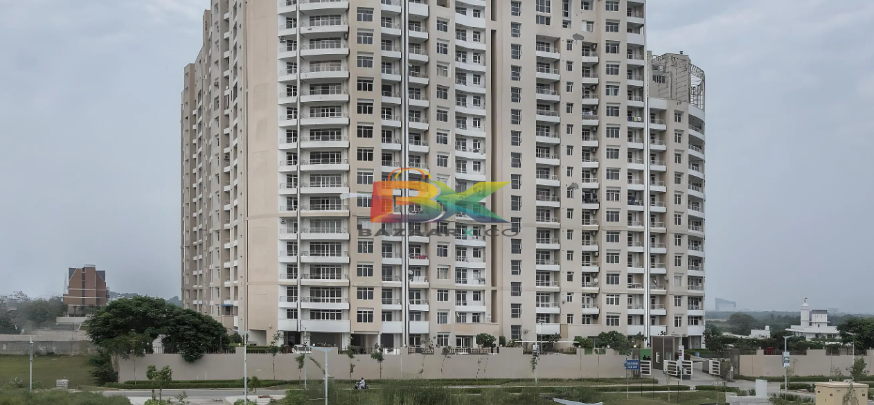 BZX Property