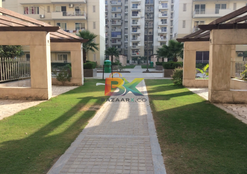 BZX Property