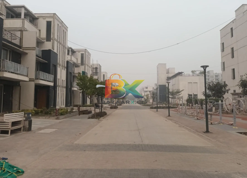 BZX Property