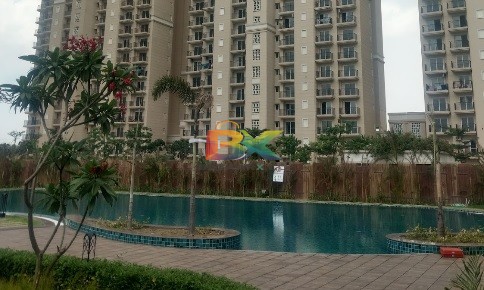 BZX Property