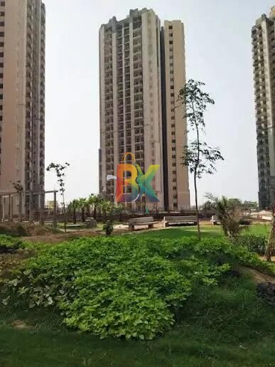 BZX Property