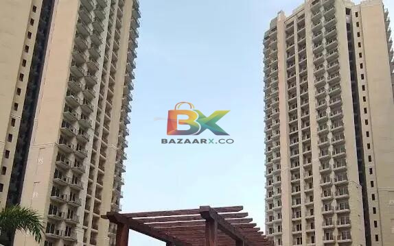 BZX Property