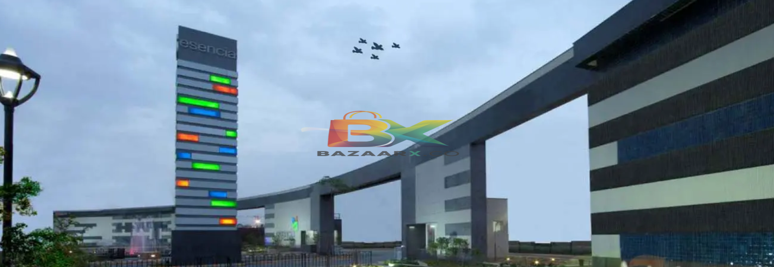 BZX Property