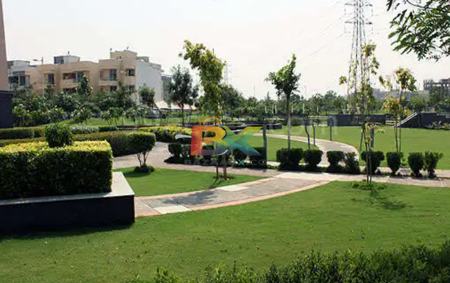 BZX Property