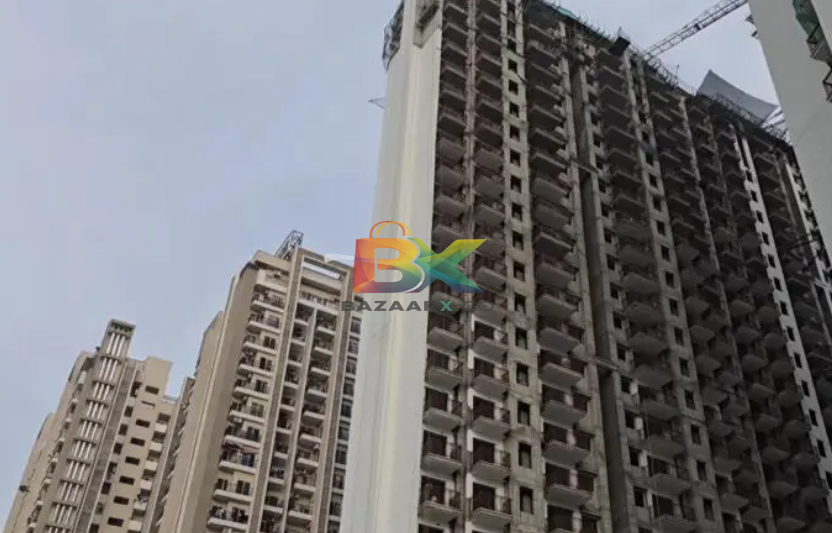 BZX Property