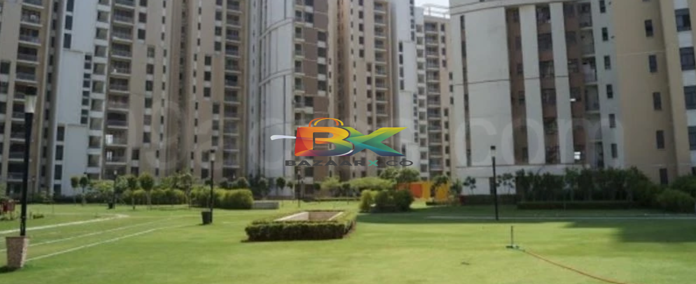 BZX Property