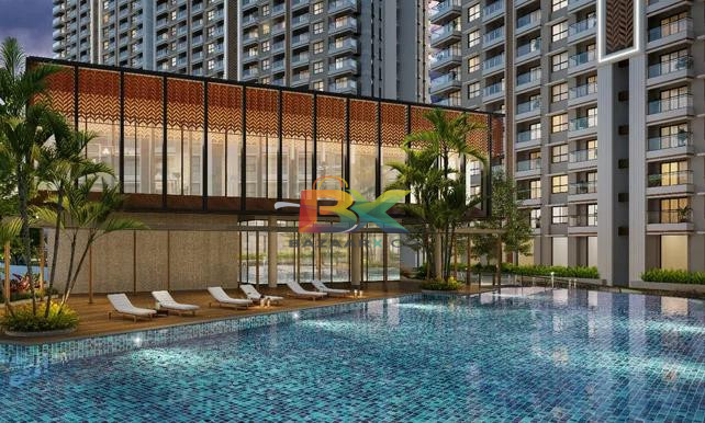 BZX Property