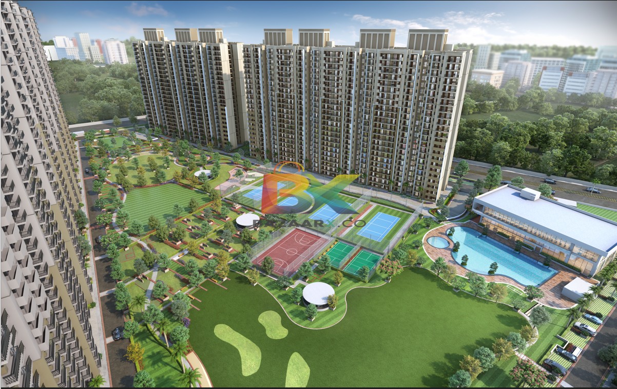 BZX Property