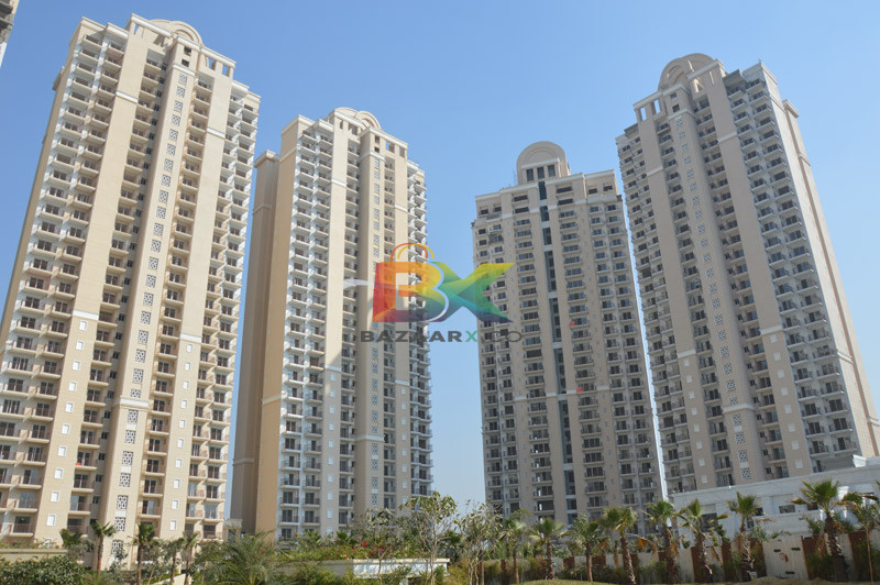 BZX Property