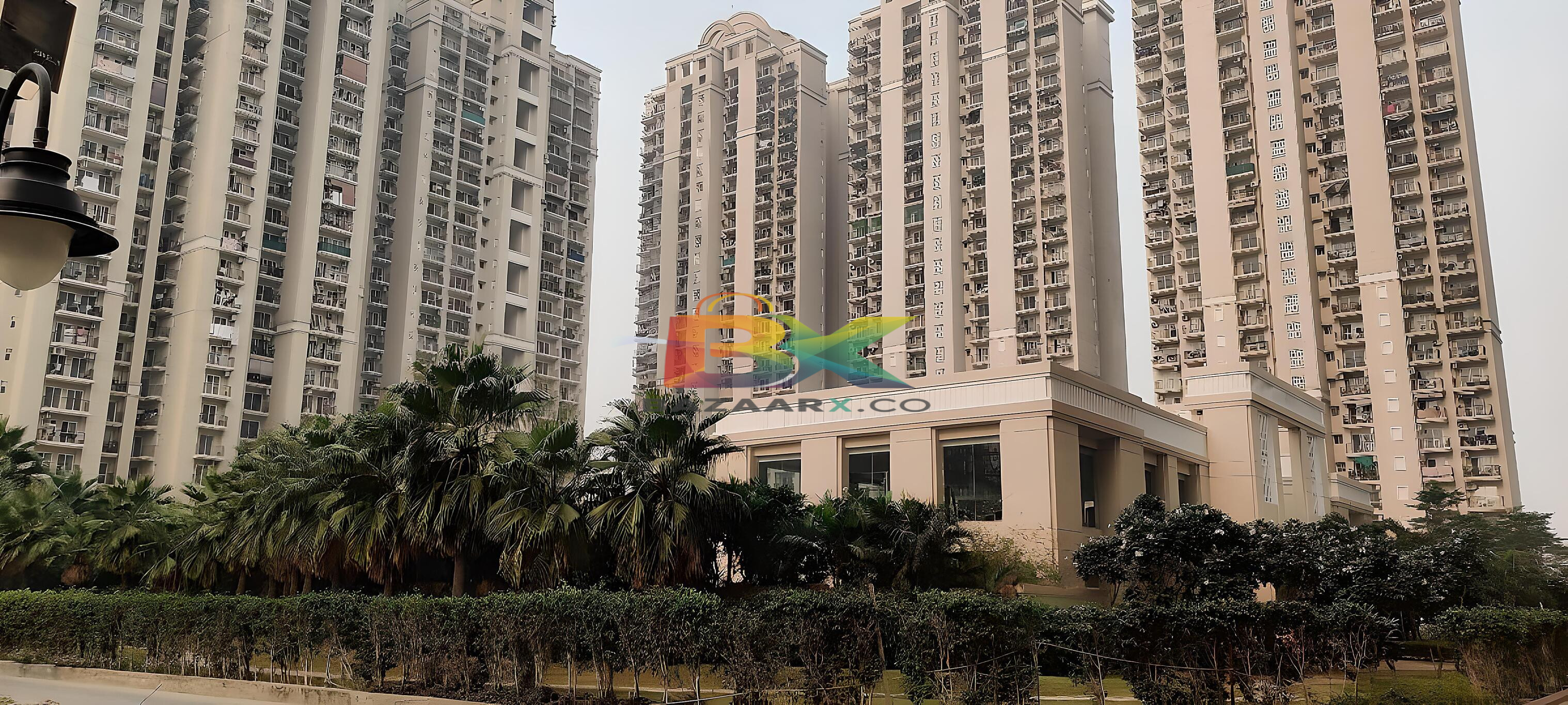 BZX Property