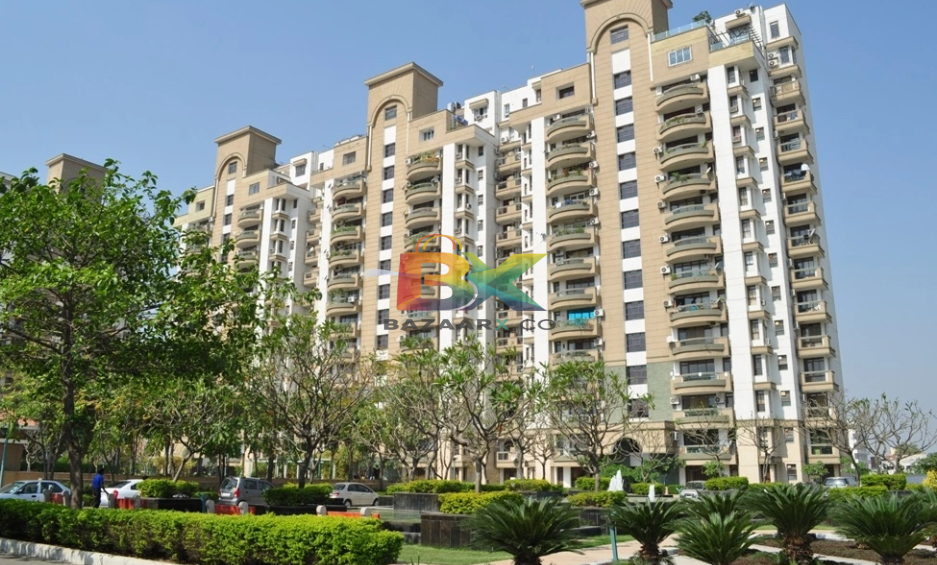 BZX Property