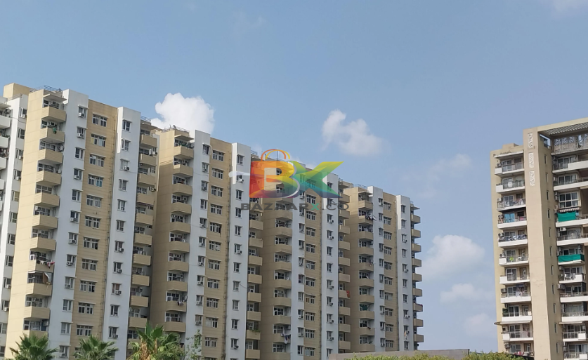 BZX Property