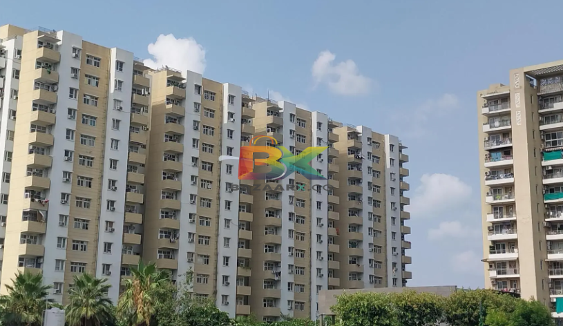 BZX Property