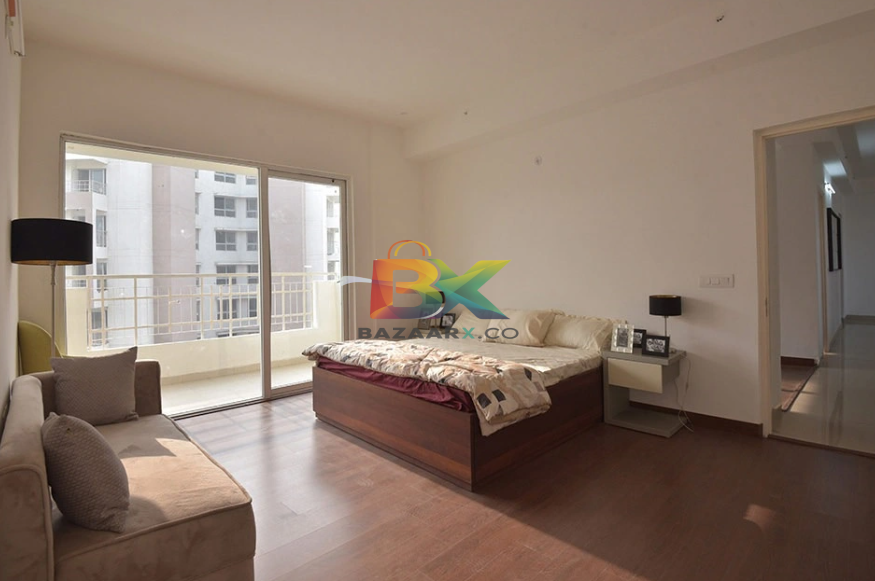 BZX Property