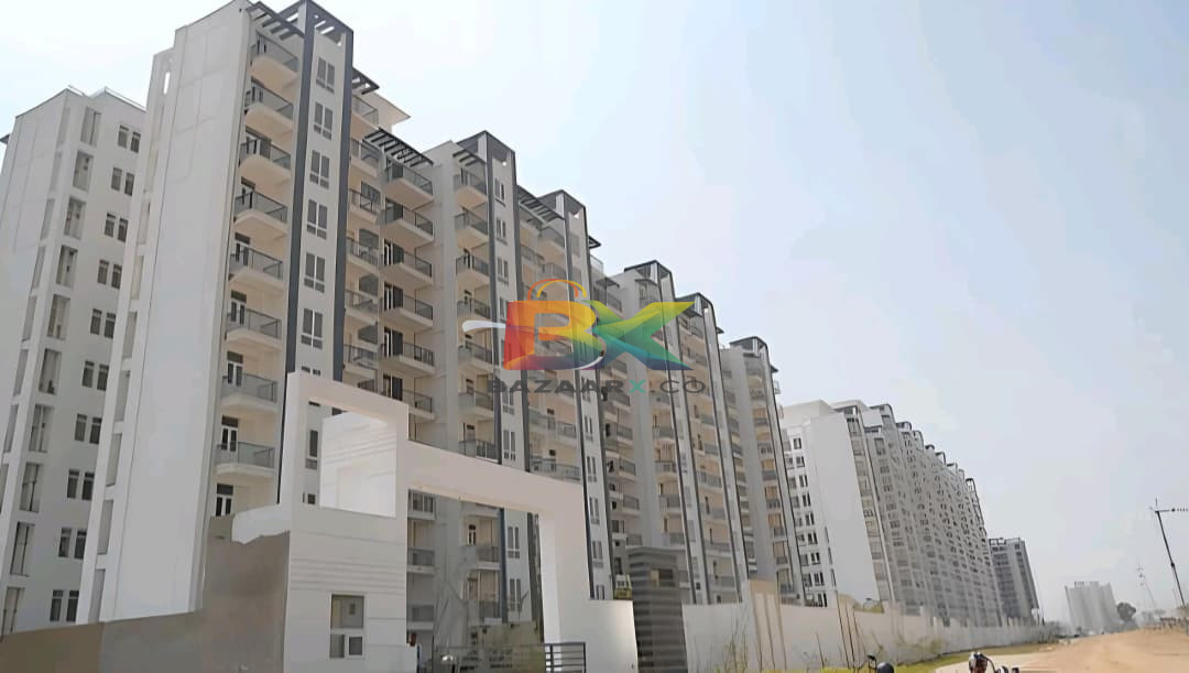 BZX Property