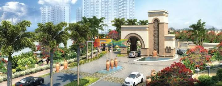 BZX Property