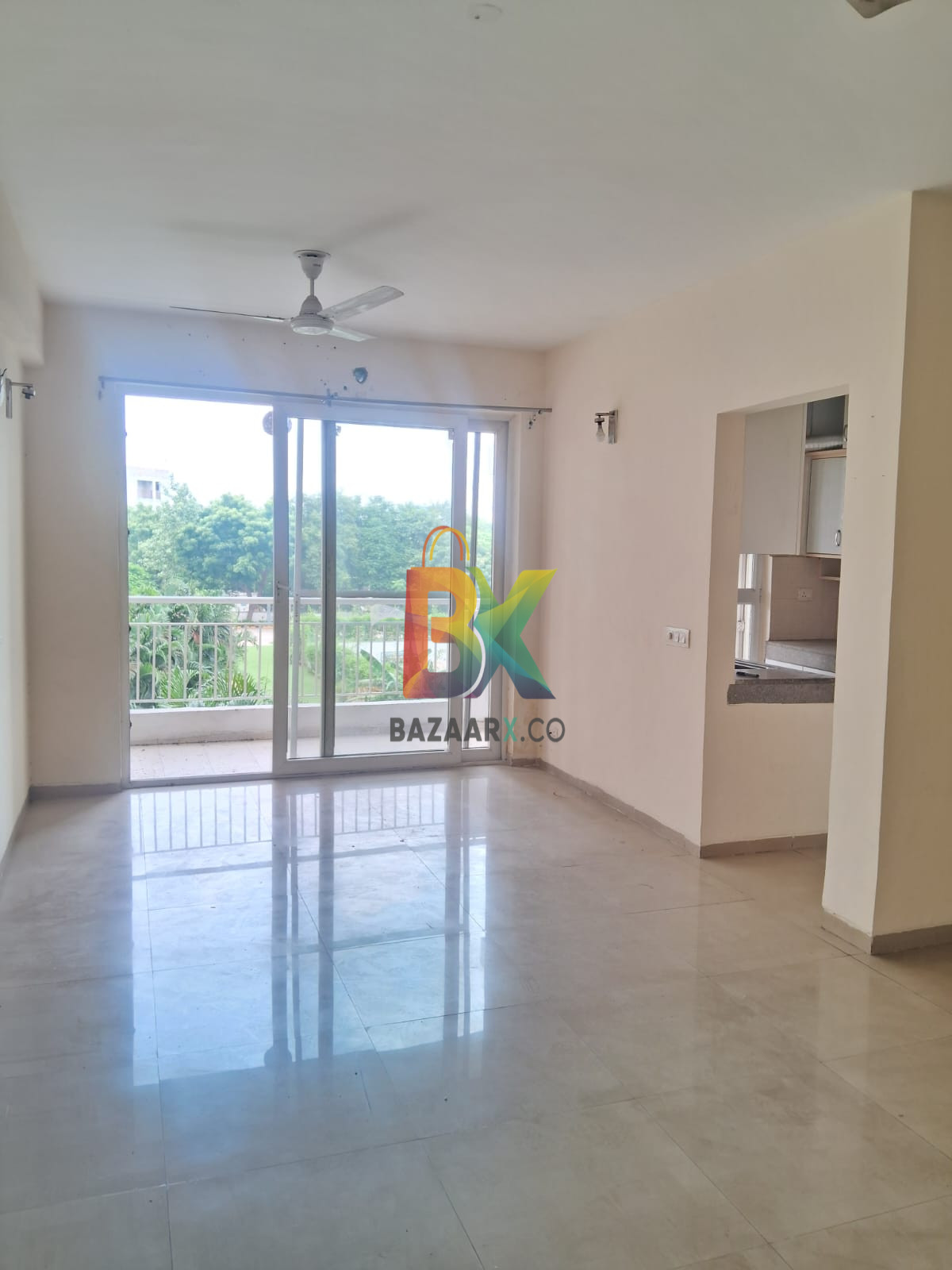 BZX Property