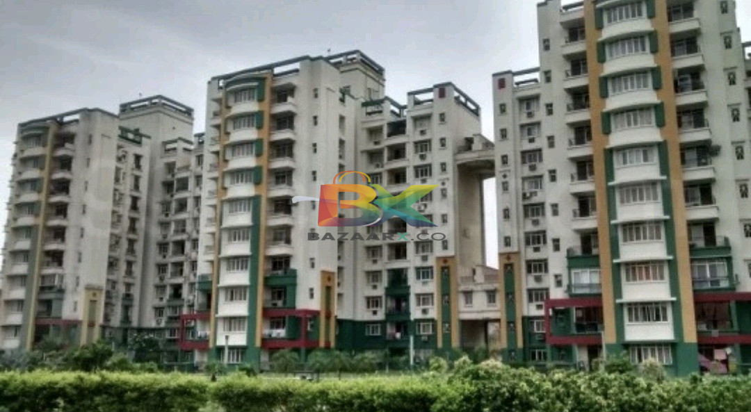 BZX Property