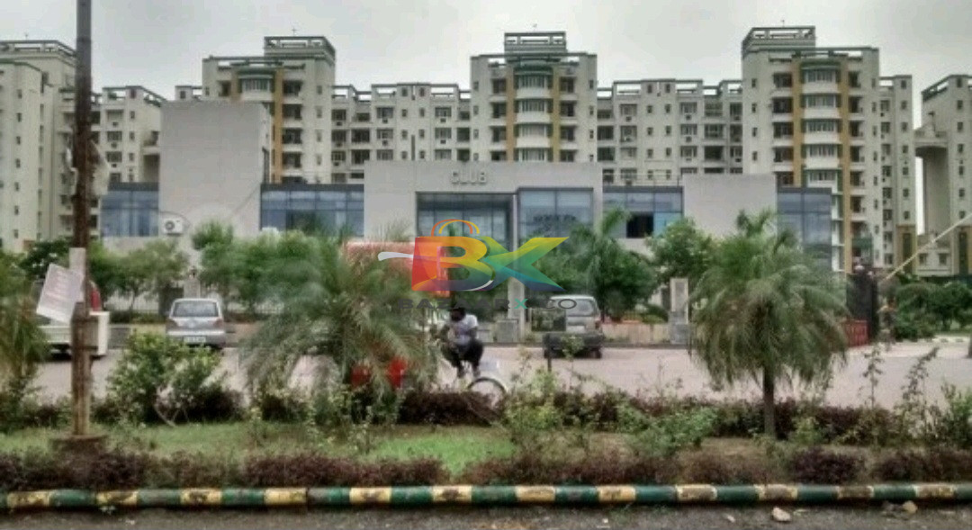BZX Property