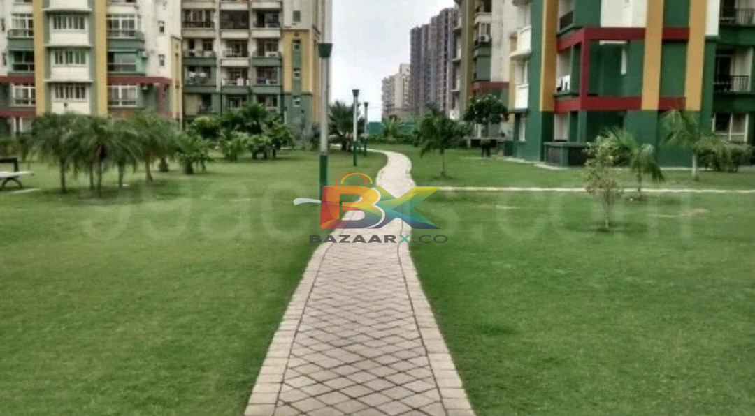 BZX Property