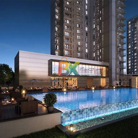 BZX Property
