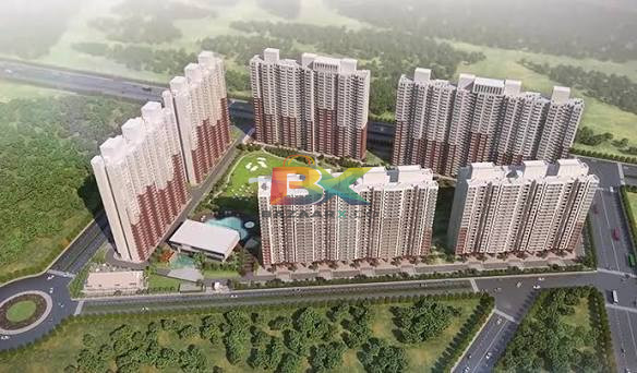 BZX Property