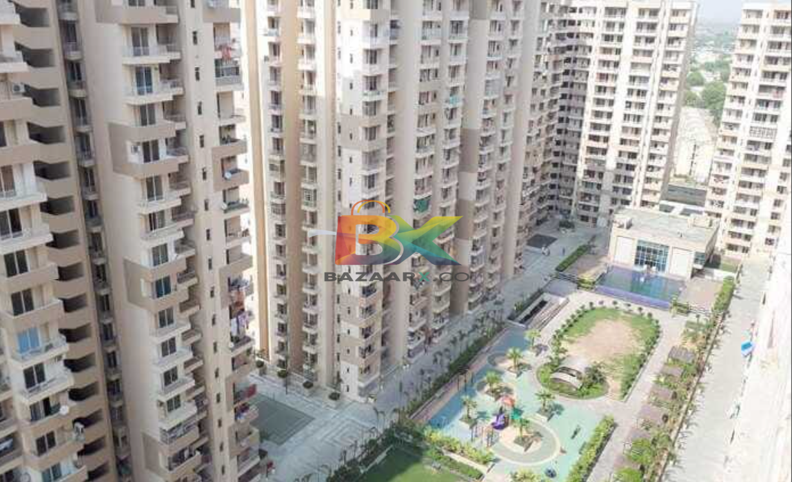 BZX Property