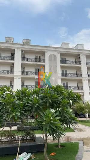 BZX Property