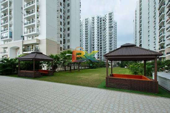 BZX Property