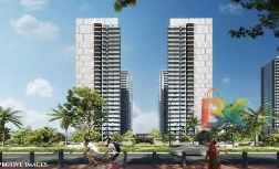 BZX Property