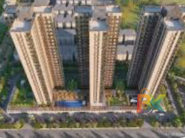 BZX Property