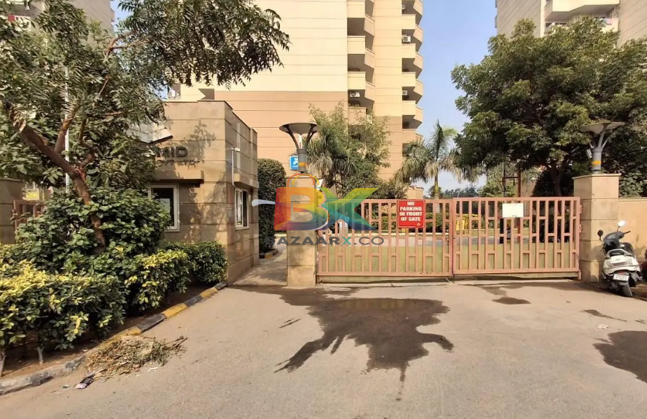 BZX Property