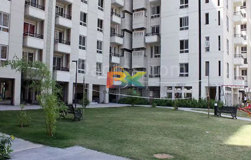 BZX Property