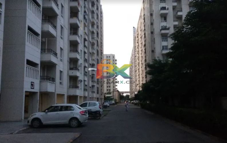 BZX Property