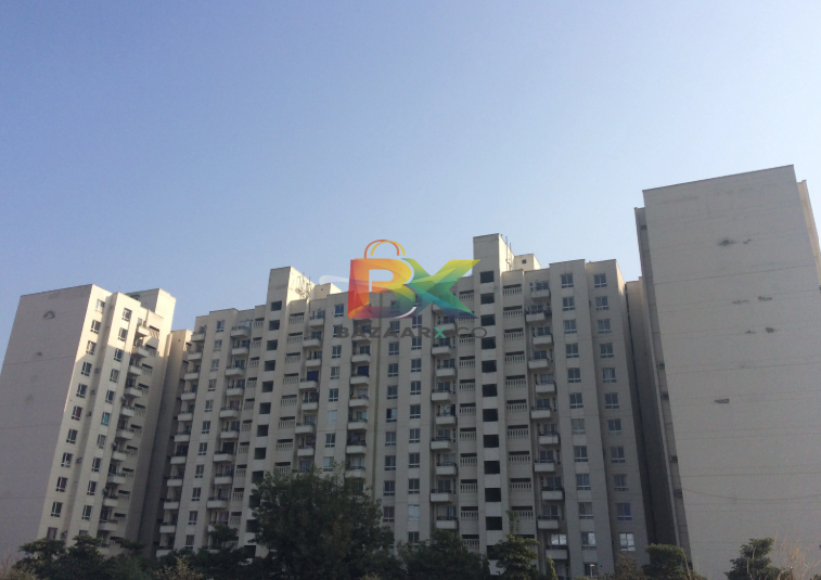 BZX Property