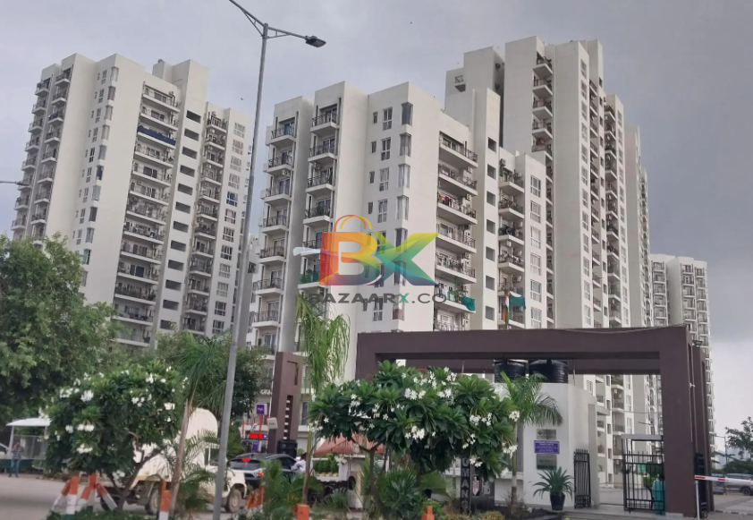 BZX Property