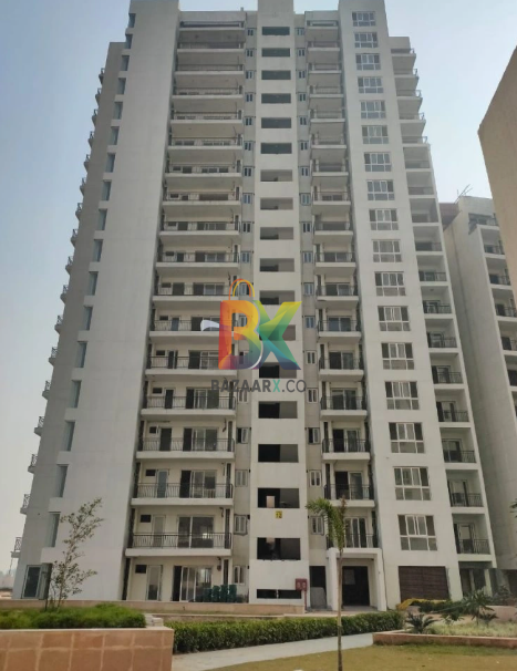 BZX Property