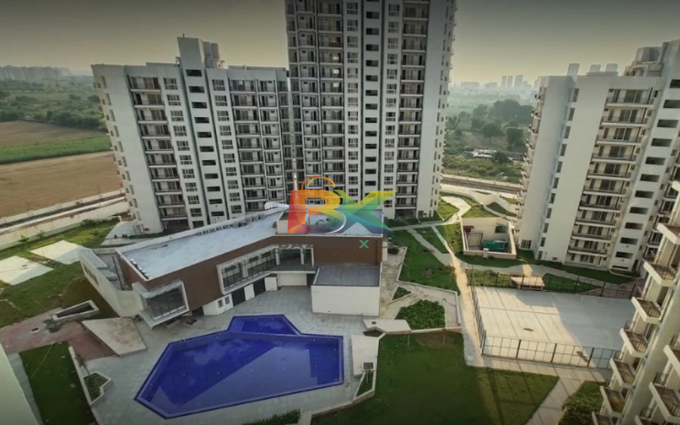 BZX Property