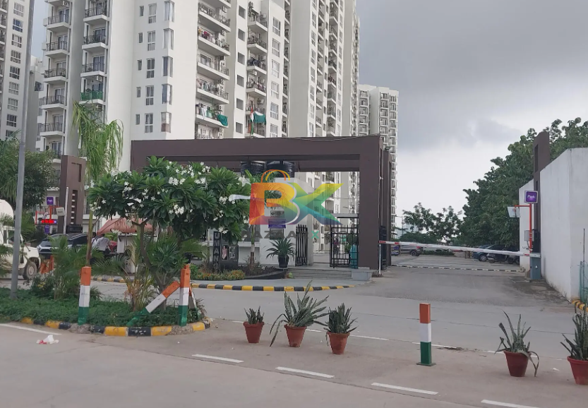 BZX Property