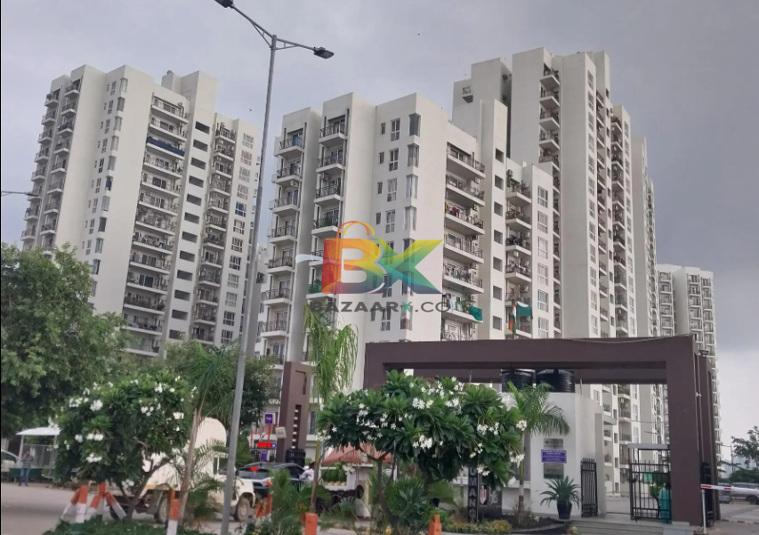 BZX Property