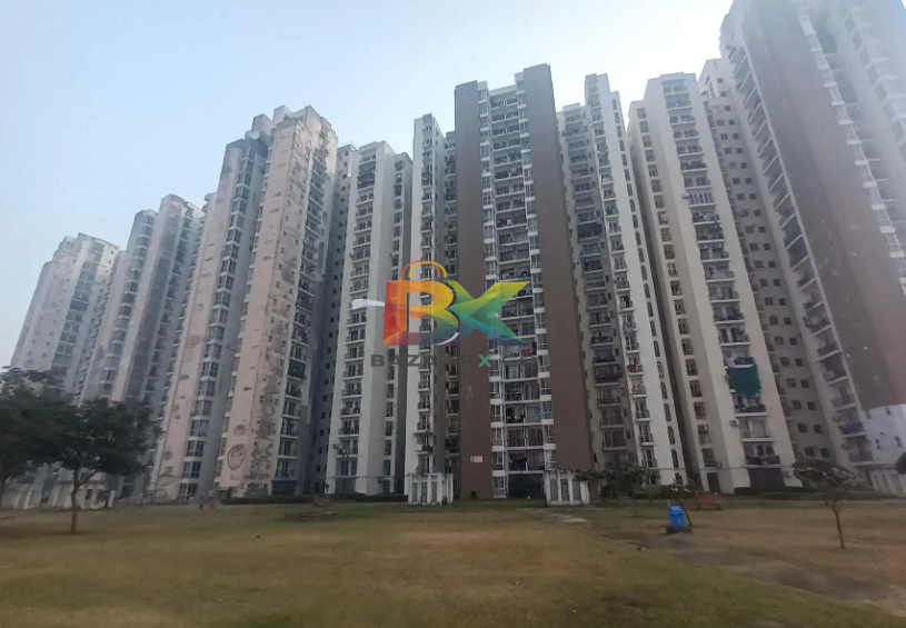 BZX Property