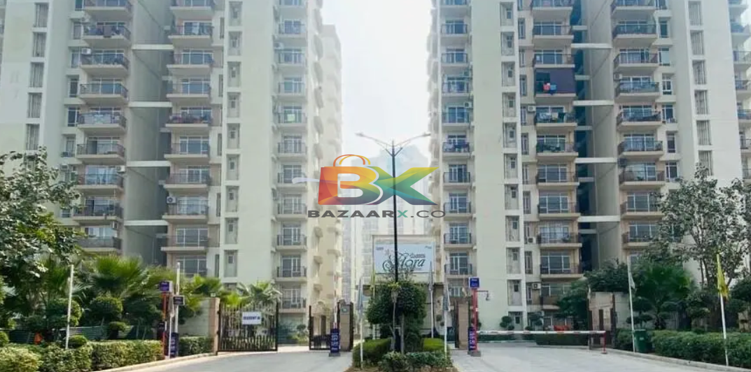 BZX Property