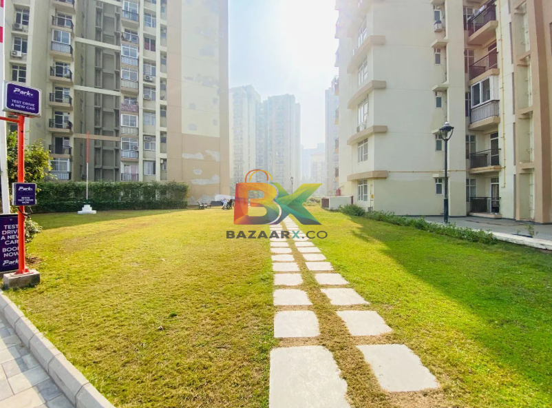 BZX Property